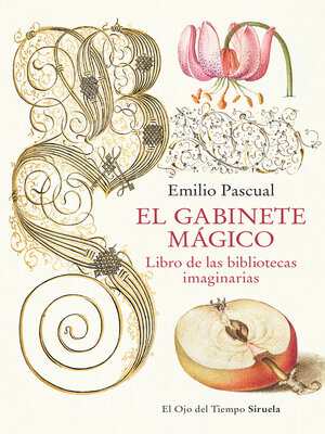 cover image of El gabinete mágico